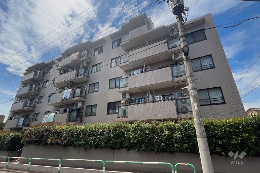 ルーエ成増の外観（南東側から）