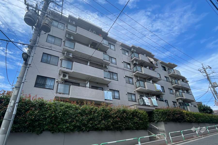 ルーエ成増の外観（南西側から）