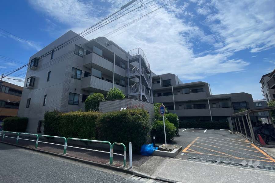 ルーエ成増の外観（西北側から）