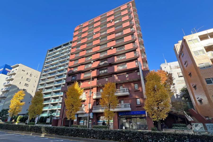 三栄ドメールの外観（南側から）