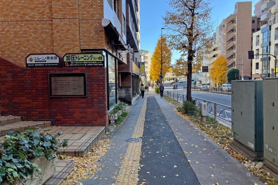 敷地南西側の前面道路（北西側から）