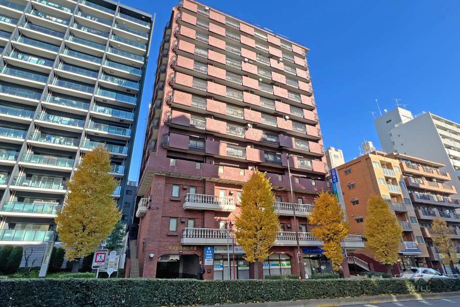 三栄ドメールの外観（南西側から）