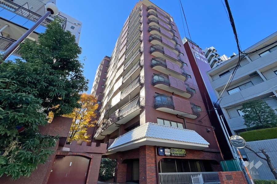 三栄ドメールの外観（東側から）