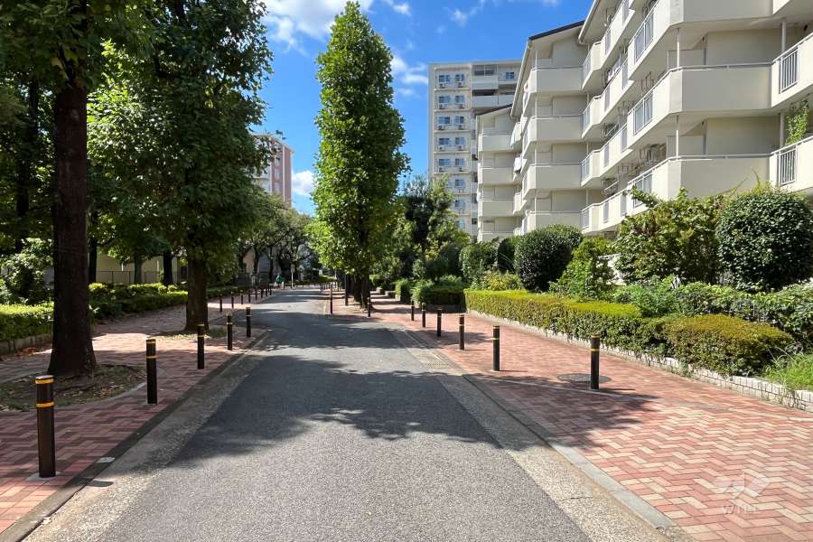 建物の南側敷地内通路（東側から）