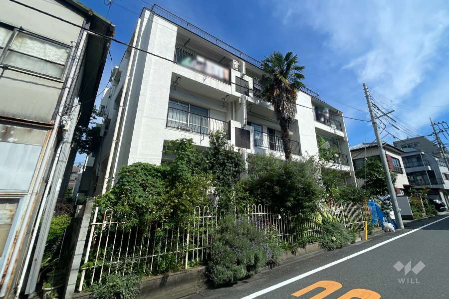 ドエル青渭の外観（南東側から）