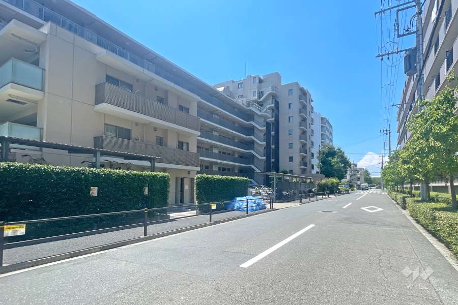 敷地の北側前面道路（東側から）