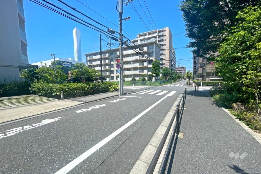 敷地の西側前面道路（南側から）