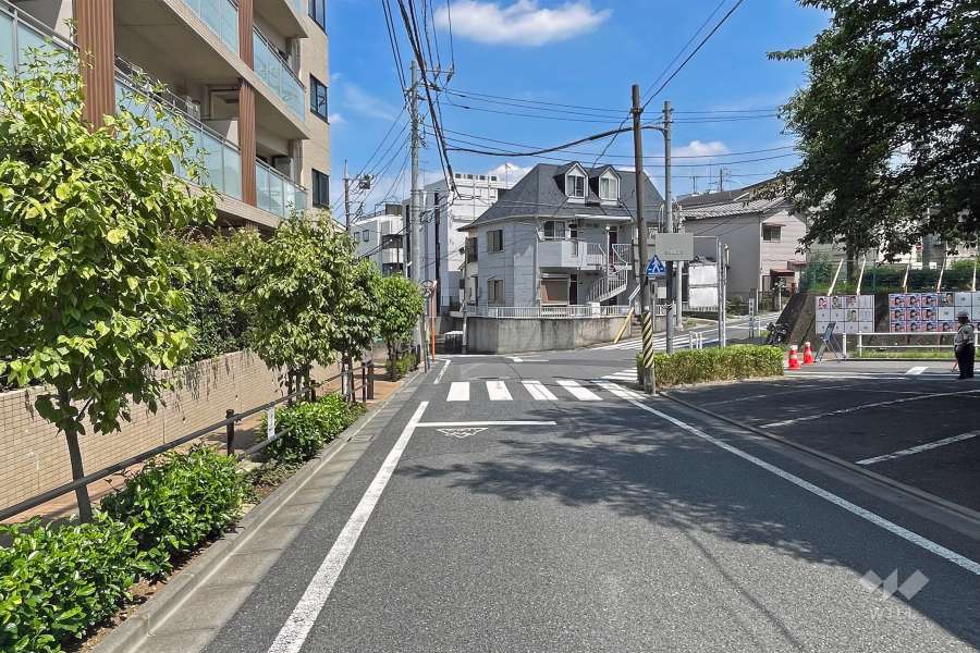 敷地の南側前面道路（西側から）