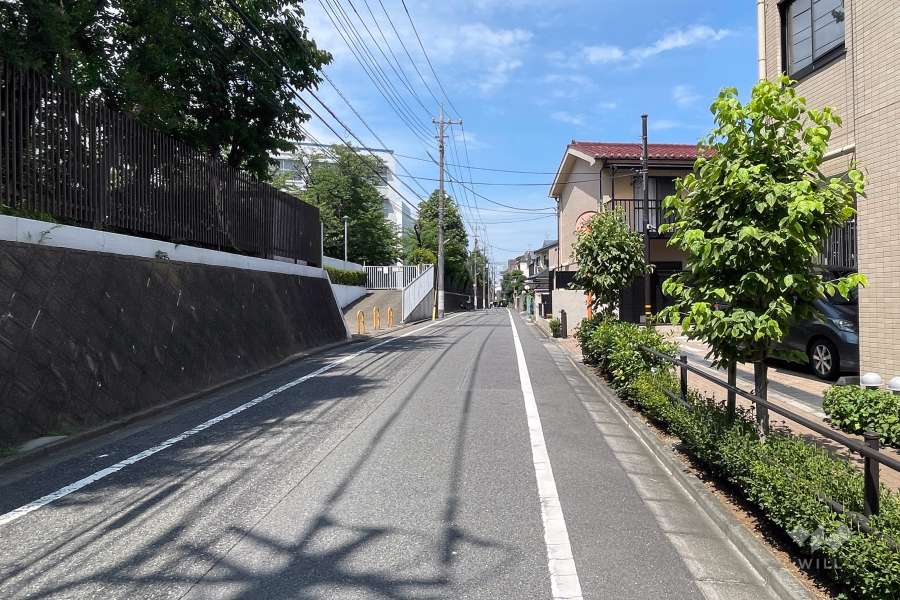 敷地の西側前面道路（南側から）