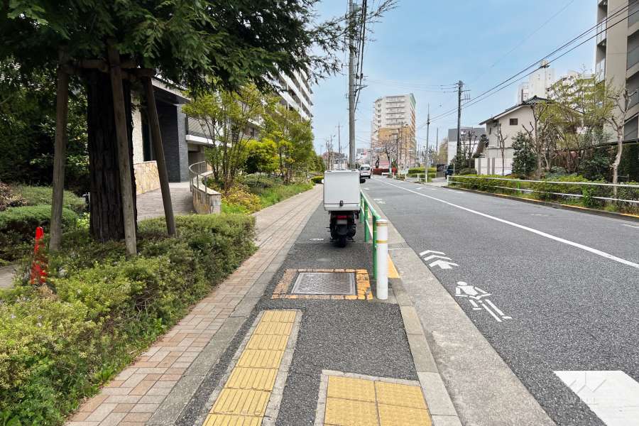 敷地の南東側前面道路（南西側から）