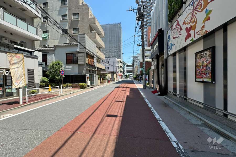 敷地南東側の前面道路　