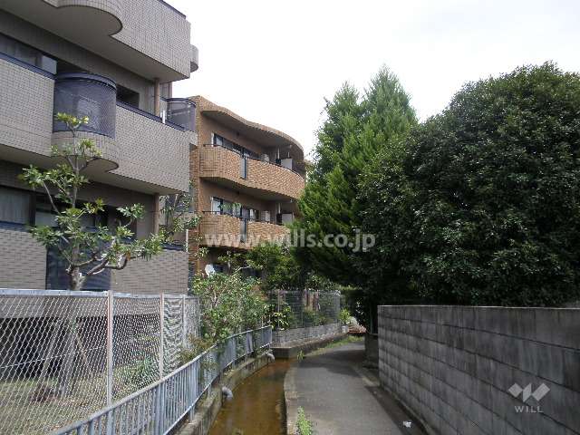 マンションの南側前面道路