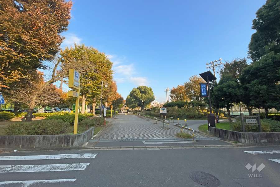 敷地に隣接した浮間公園