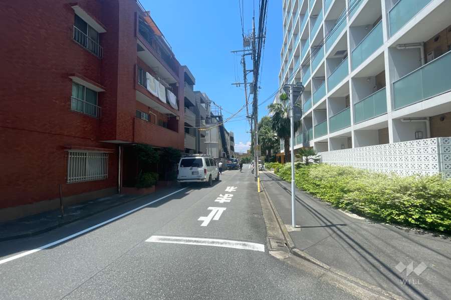 敷地の北側前面道路（東側から）