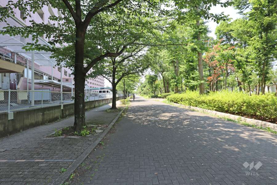 敷地の北側前面道路（東側から）