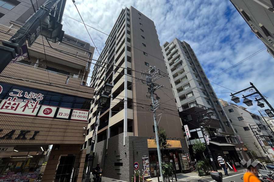 ブライズ板橋クレヴィスタの外観（南東側から）