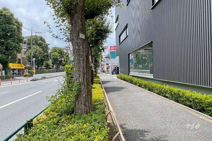 敷地南東側の前面道路（北東側から）