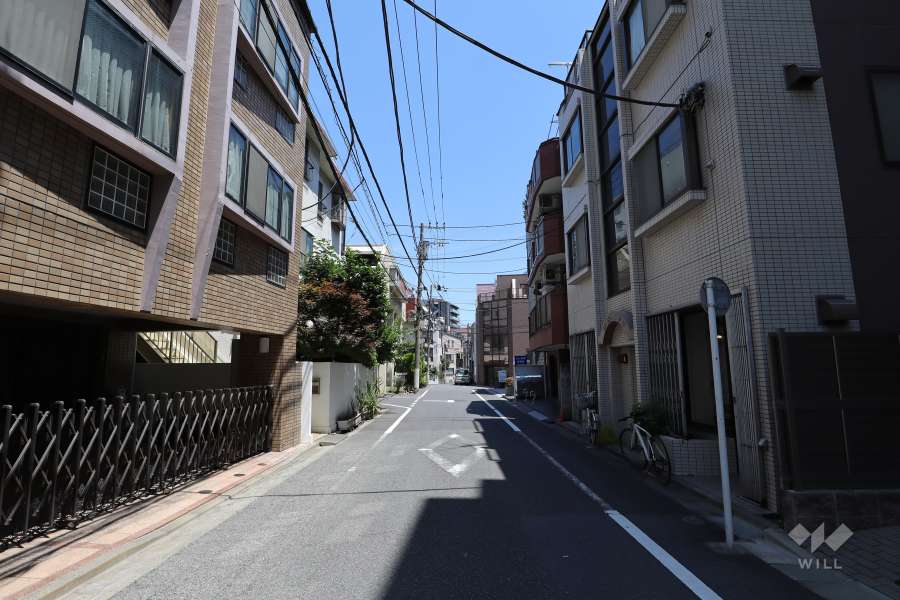敷地南側の前面道路（西側から）