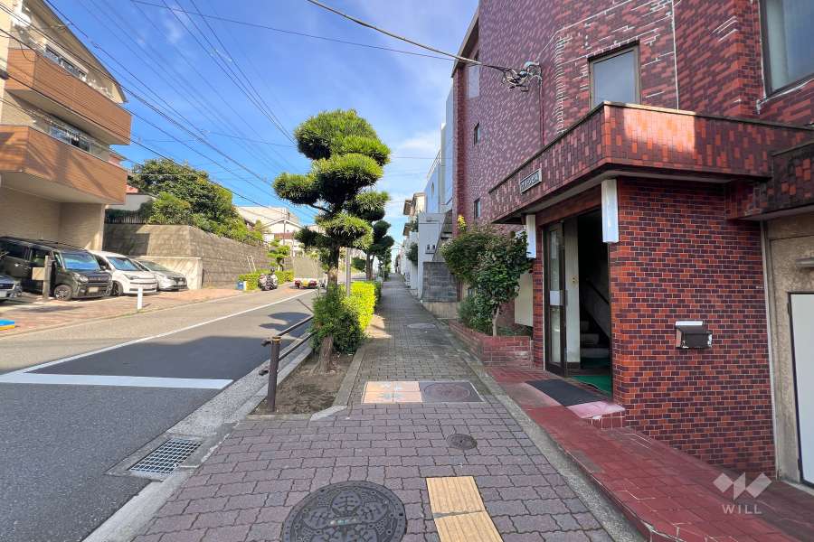 敷地の北側前面道路（西側から）