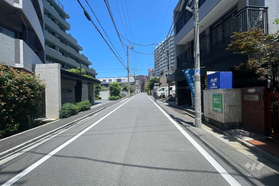 敷地東側の前面道路