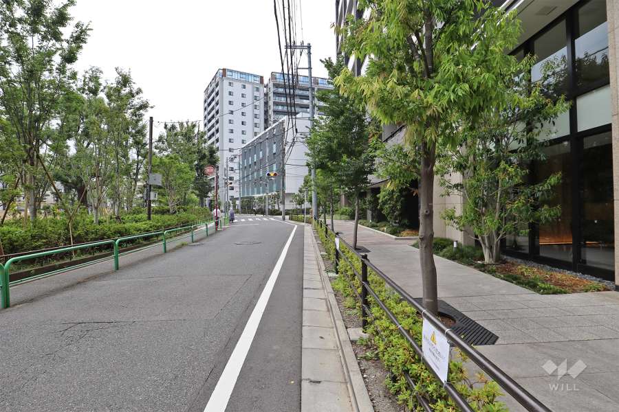 敷地南側の前面道路（東側から）