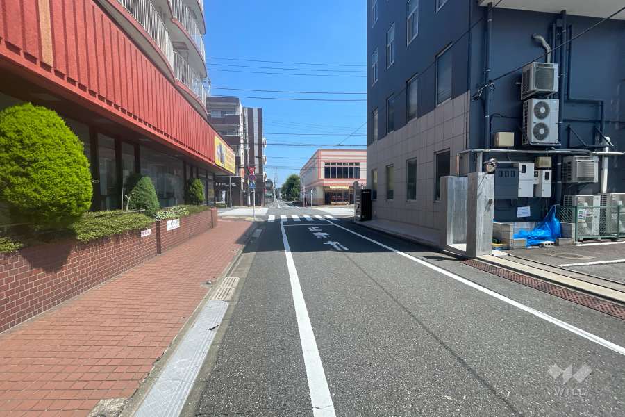 敷地の西側前面道路（南側から）