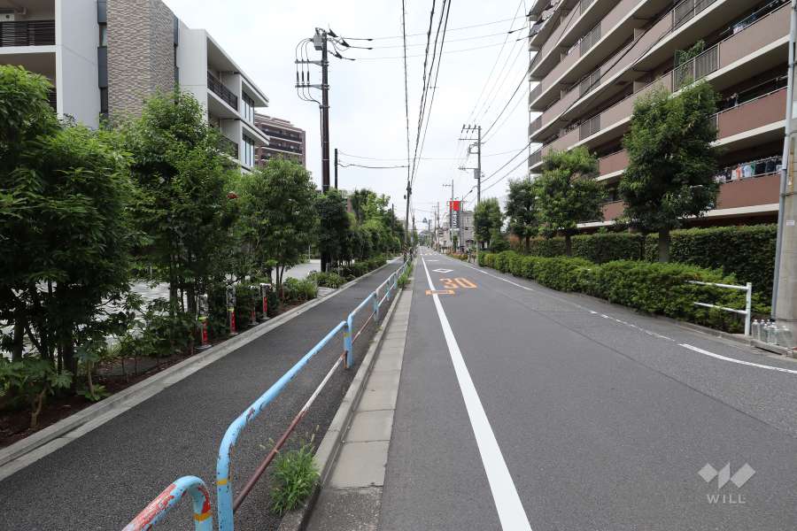 敷地北側の前面道路（東側から）