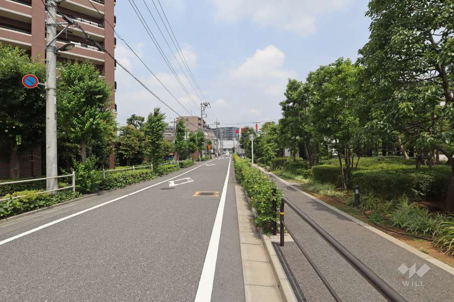 敷地西側の前面道路（南側から）