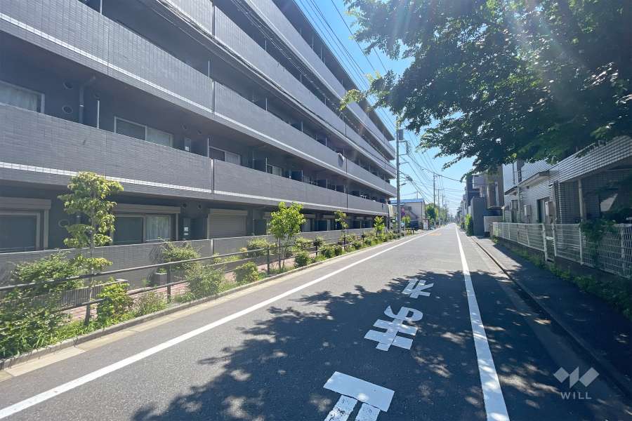 敷地南側の前面道路（西側から）