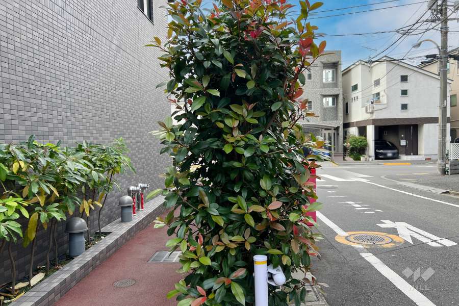 敷地北側の前面道路