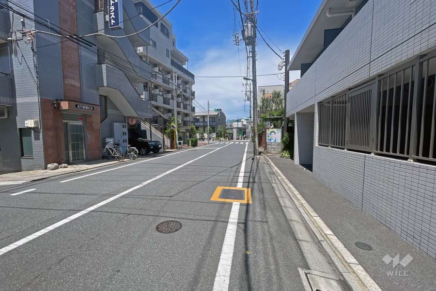 敷地の西側前面道路（南側から）