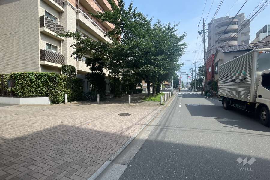 敷地の東側前面道路（北側から）