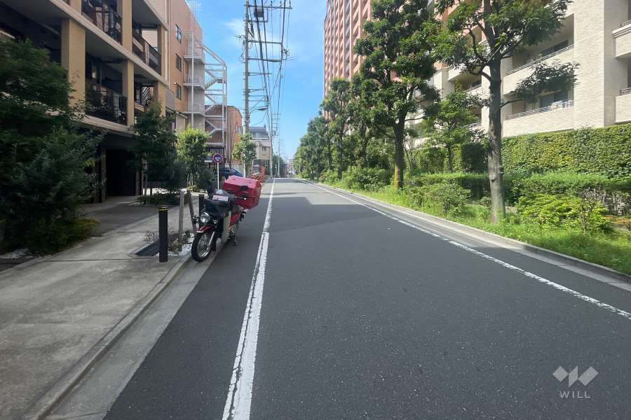 敷地の東側前面道路（南側から）