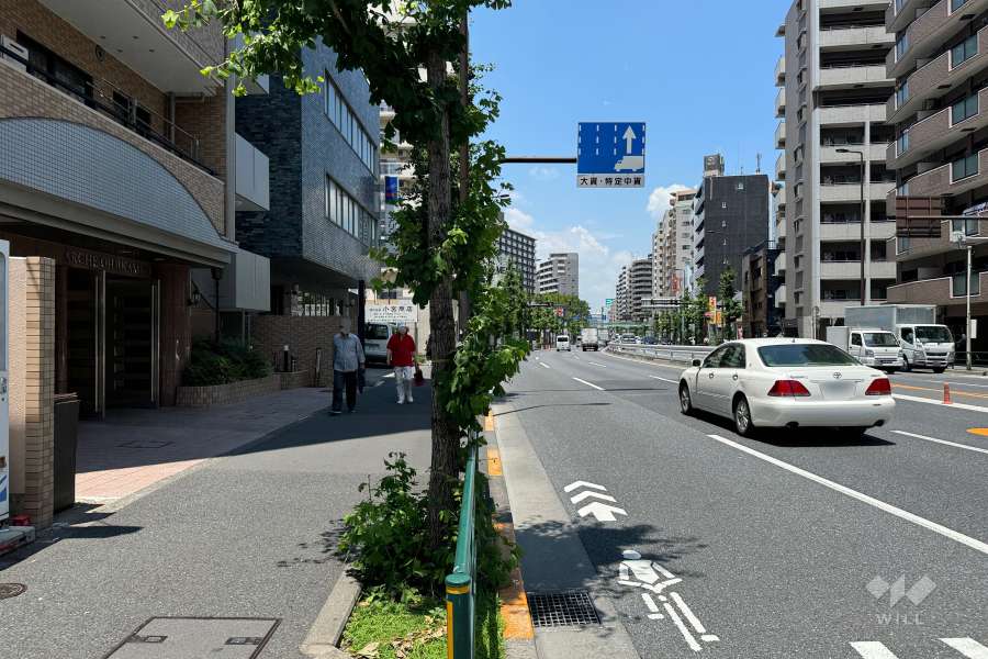 敷地の東側前面道路（南側から）