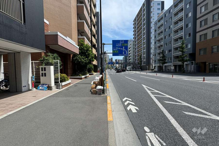 敷地の西側前面道路（北側から）