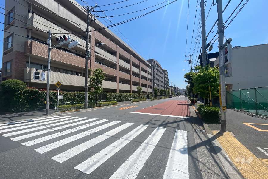 敷地南側の前面道路　