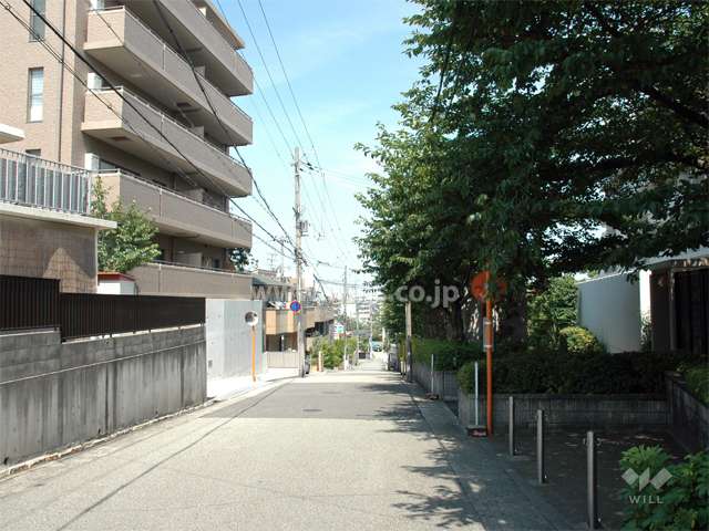 敷地南側の道路。