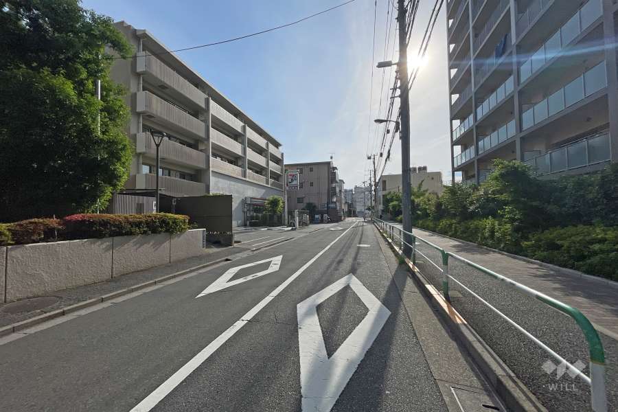 敷地の北側前面道路（西側から）