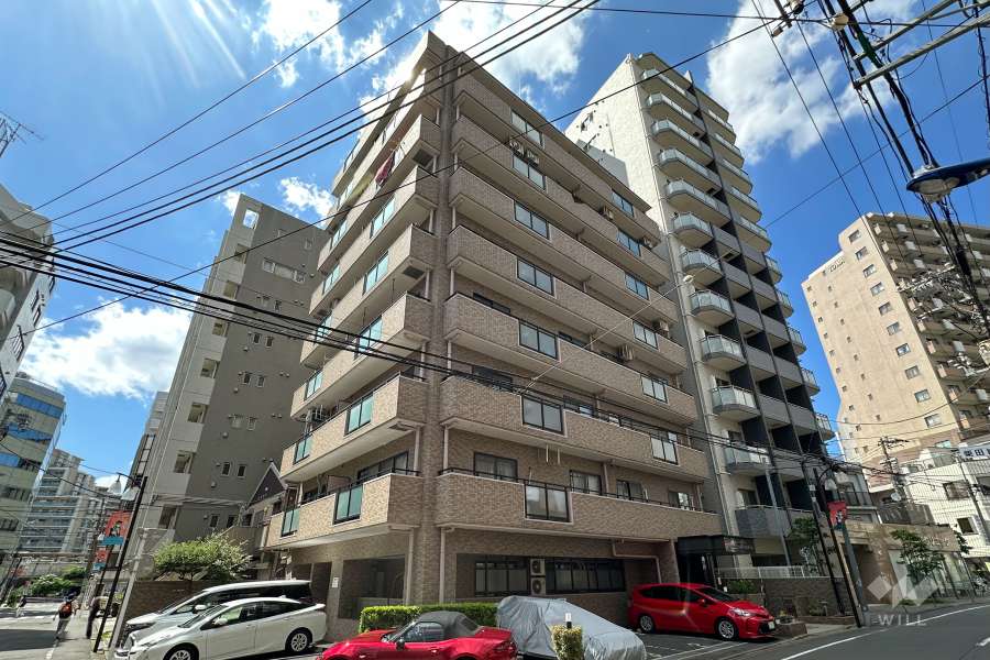 ダイアパレスステーションプラザ板橋の外観（南東側から）