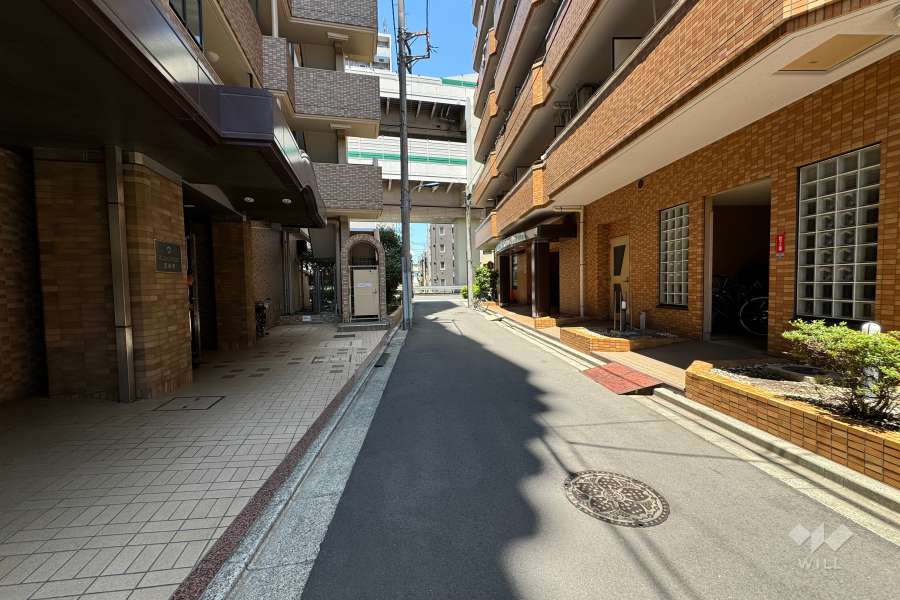 敷地南西側の前面道路（南東側から）