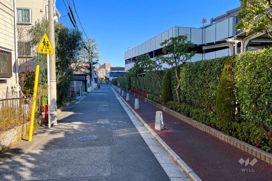 敷地の北側前面道路（西側から）