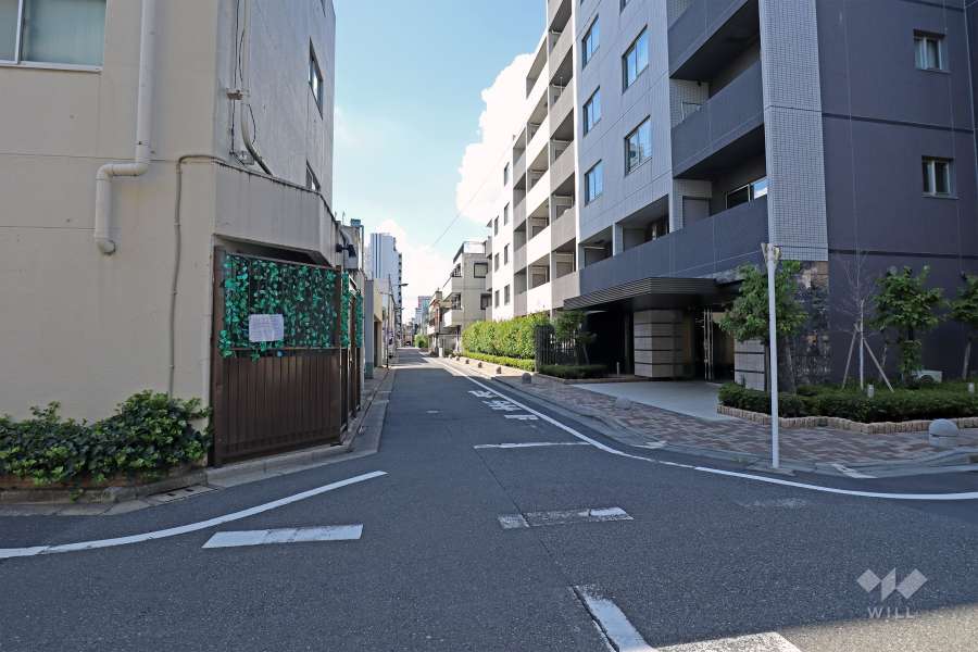 敷地の北東側前面道路（南東側から）