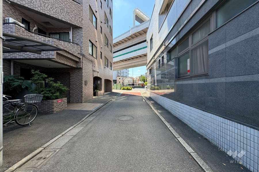 敷地の東側前面道路（北側から）