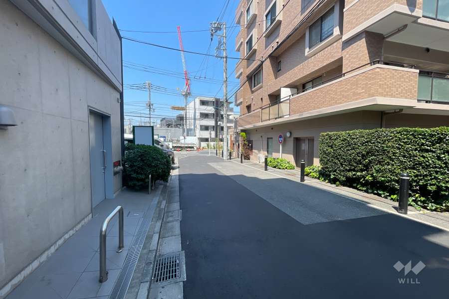 敷地の西側前面道路（南側から）