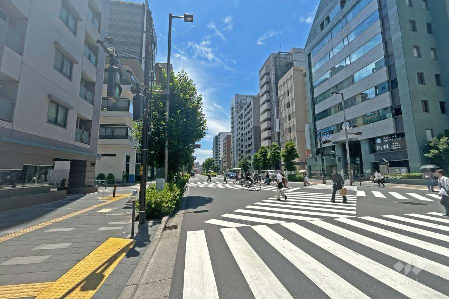敷地の西側前面道路（北側から）