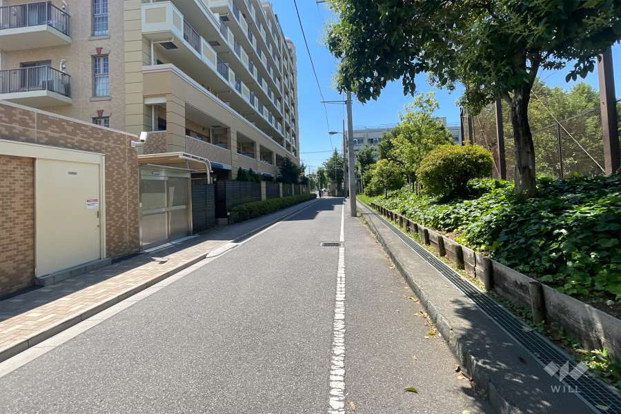 敷地の西側前面道路（北側から）