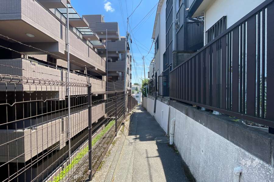 敷地の西側前面道路（北側から）