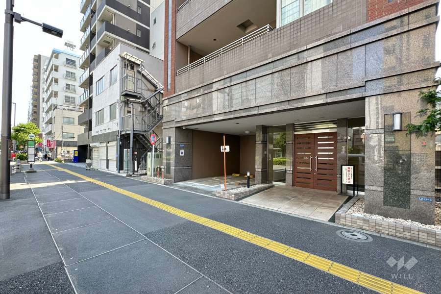 敷地の東側前面道路（北側から）