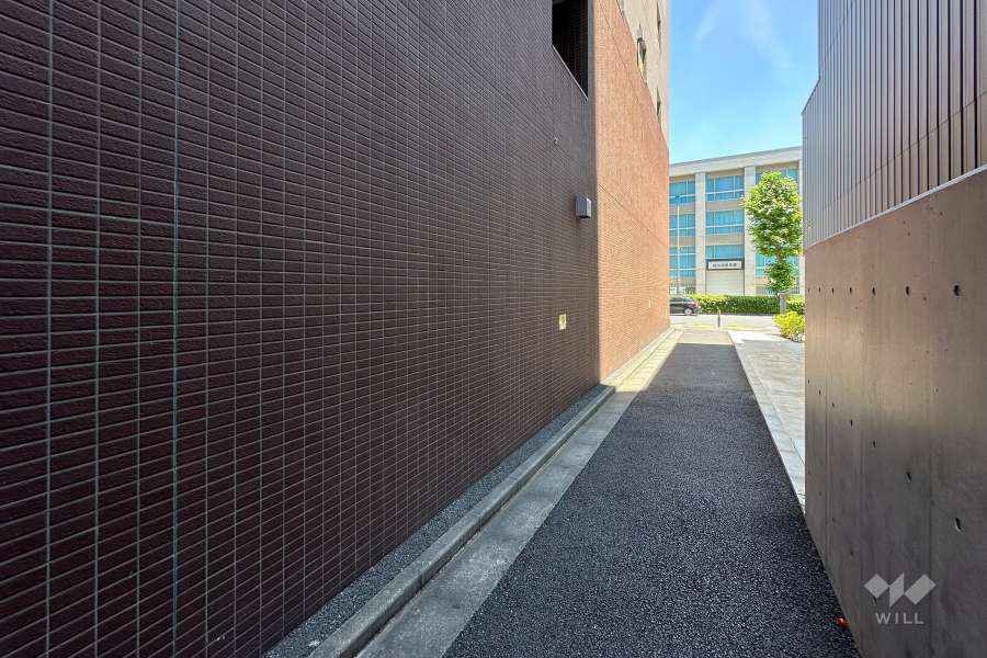 敷地南側の前面道路　