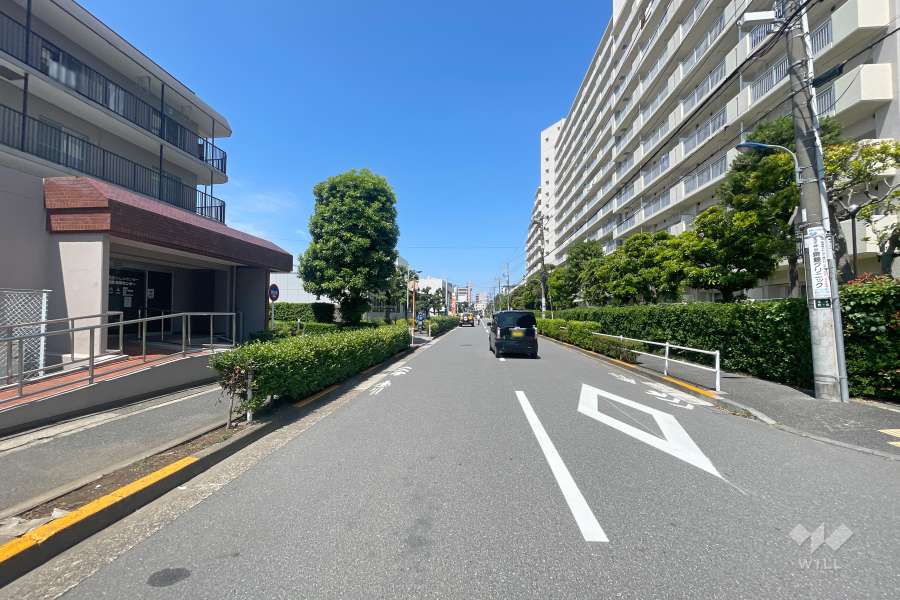 敷地北側の前面道路